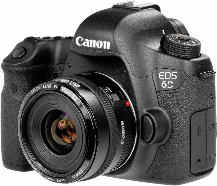 canon eos 6d body