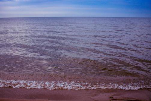 Водохранилище Куйбышевское 