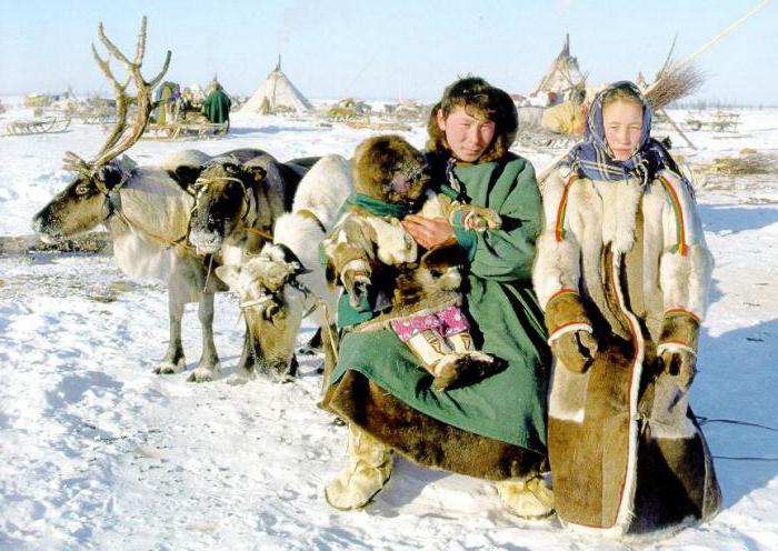 коренные малочисленные народы севера