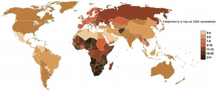 сколько людей умирает в день в мире