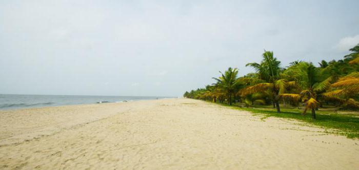 lotus resort 3