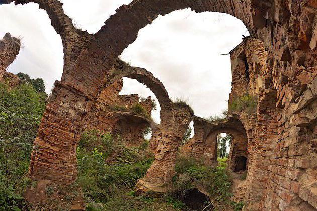 Гольшанский замок история