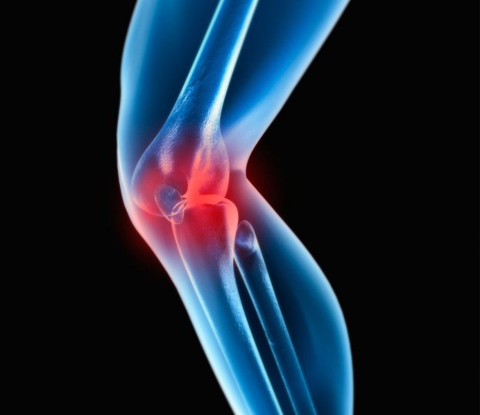 мышцы коленного сустава анатомия