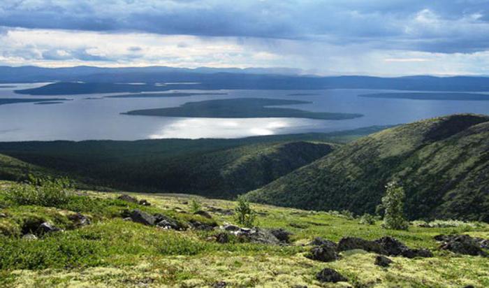 лапландский заповедник мурманская область