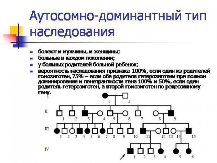 тип наследования аутосомно доминантный