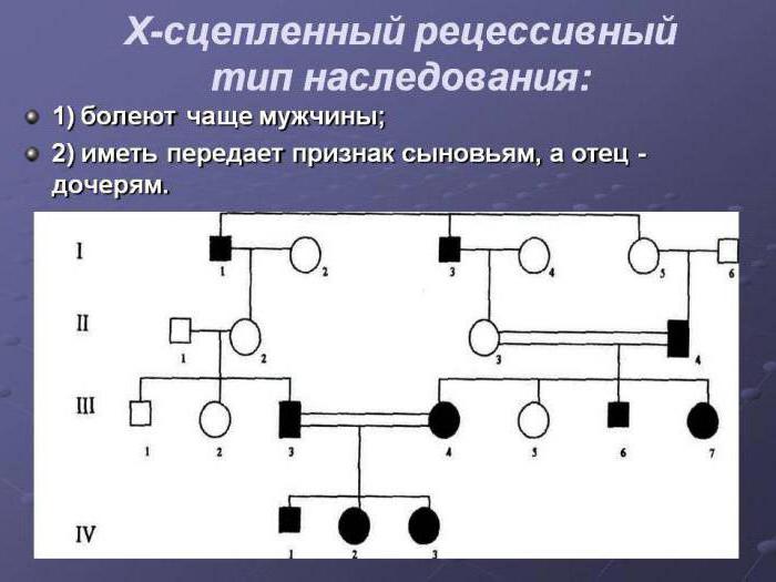 аутосомно рецессивным и аутосомно доминантным типом наследования