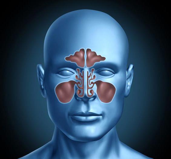 томография придаточных пазух носа