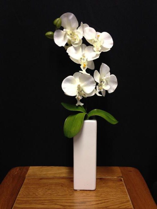 виды белых орхидей