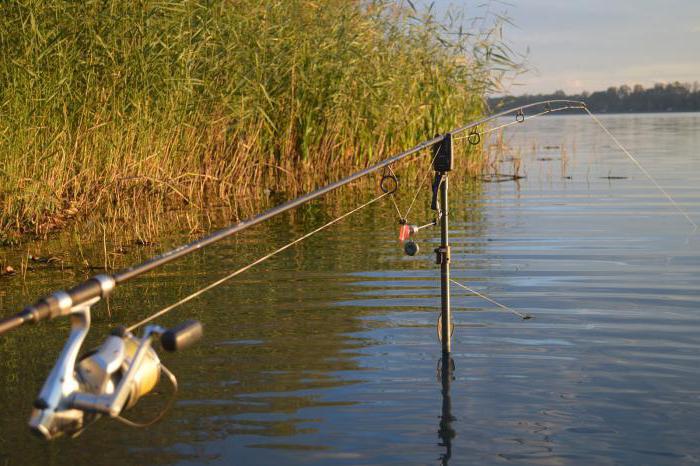  платная рыбалка в рязанской области 