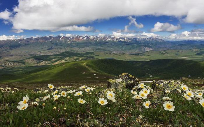 луковые горы описание