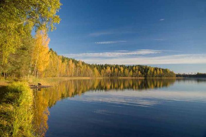 национальный парк смоленское поозерье фото