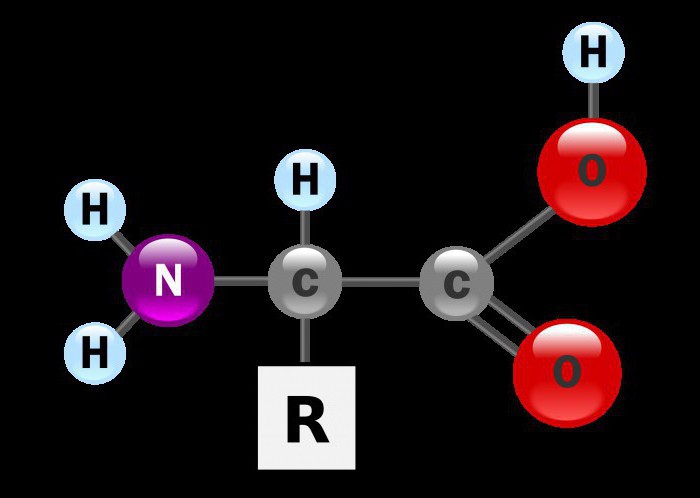 аминокислоты формулы и названия