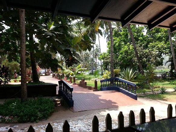 Отель Palm Resort 2