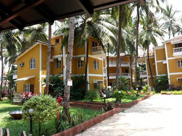 Palm Resort 2