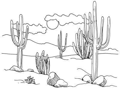 как нарисовать долину кактусов