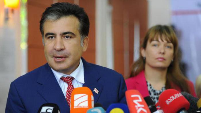 супруга саакашвили сандра рулофс