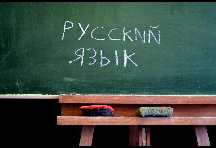 основные разделы русского языка