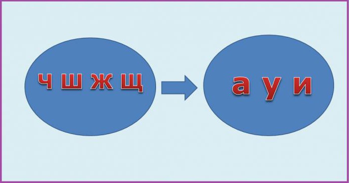 гласные после ц и шипящих (авторская картинка)