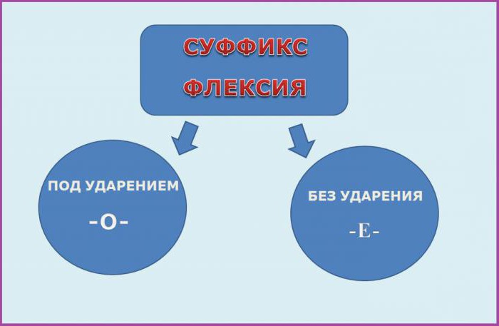 гласные о е после шипящих и ц (авторская картинка)