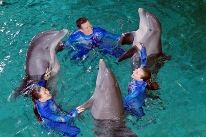 самый большой дельфинарий в москве