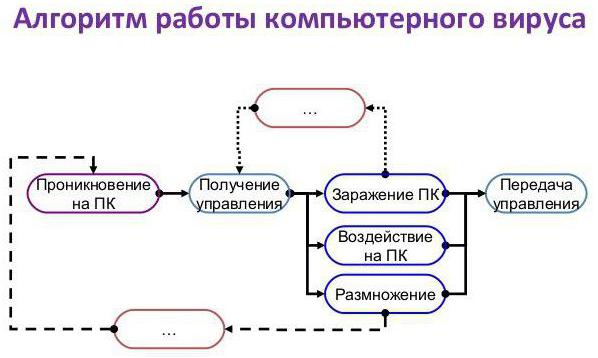 антивирусная программа это виды