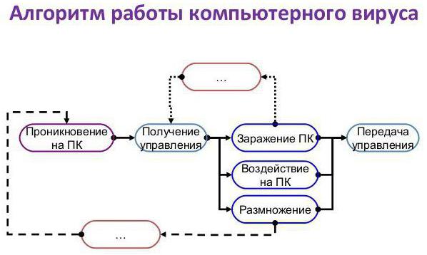 антивирусная программа это виды 