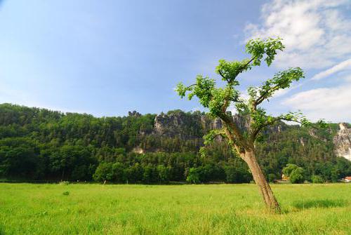 Особенности ипотеки земельных участков