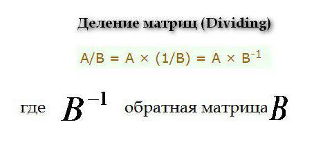 двумерный массив