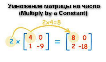 элементы массива