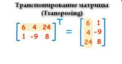 элементы массива