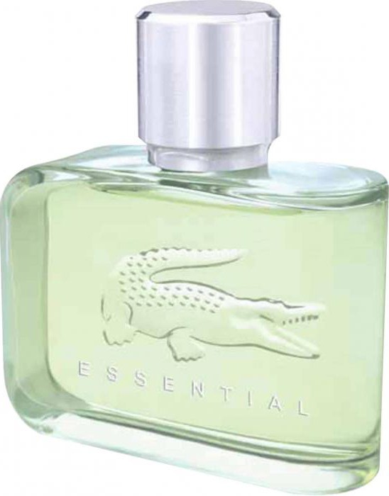 lacoste essential edt