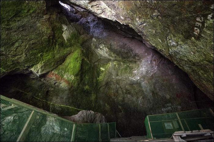 денисова пещера находки 