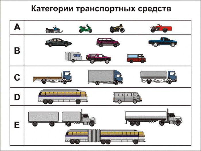 категория д