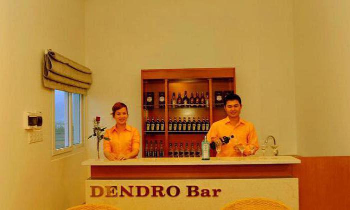 отель dendro hotel 3 