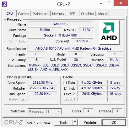 amd a6 6310 radeon r4