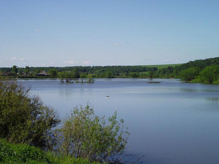 Реки Алтайского края