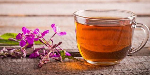  рецепты иван чай лечебные свойства
