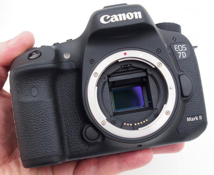 canon 7d mark ii сравнение