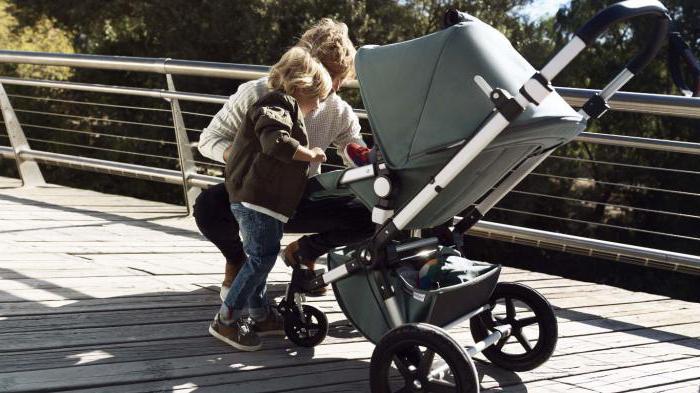 bugaboo cameleon 3 