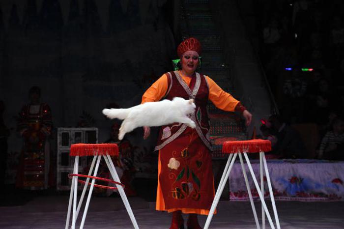 екатеринбургский цирк фото 