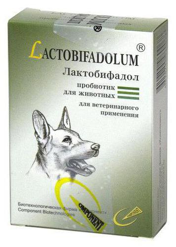 лактобифадол для собак