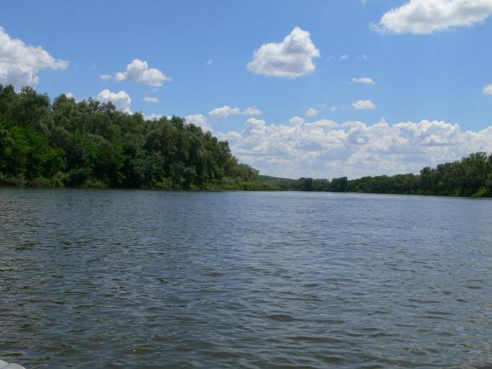 воронежский хоперский заповедник