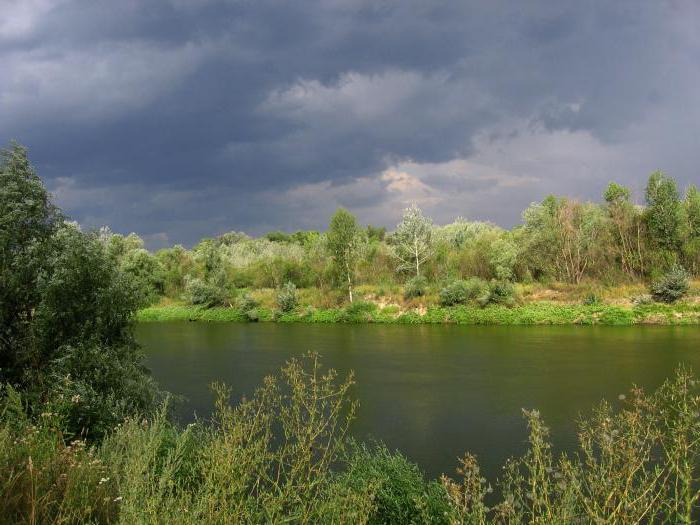 хоперский заповедник