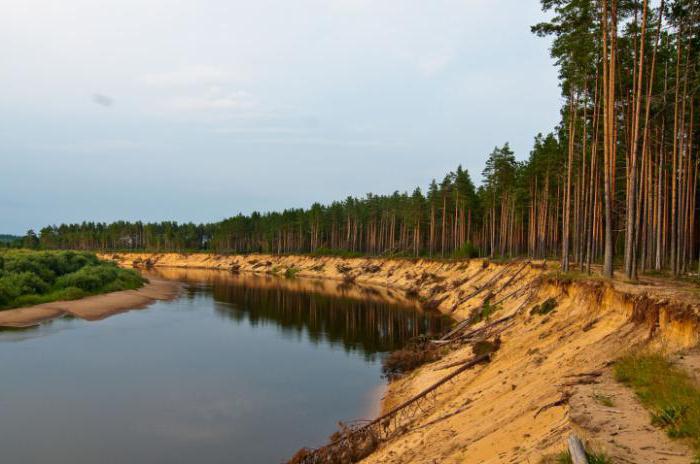 река молога тверская область