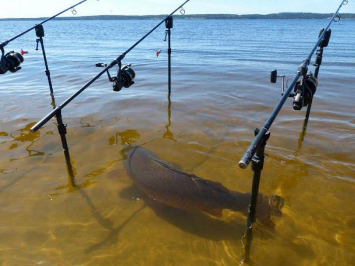 рыбалка на краматорском море