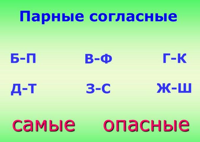 парные согласные