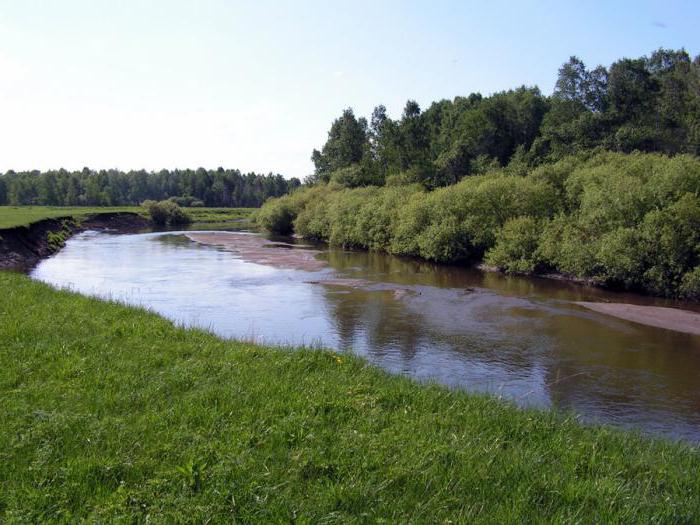 Река Миасс впадает