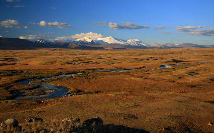 плато укок горный алтай фото 