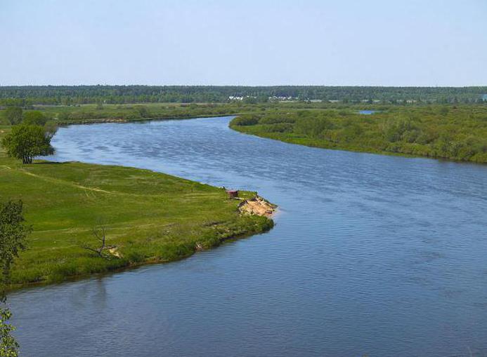 уровень воды в реке сож