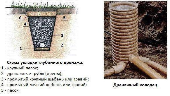 как правильно сделать дренаж на участке